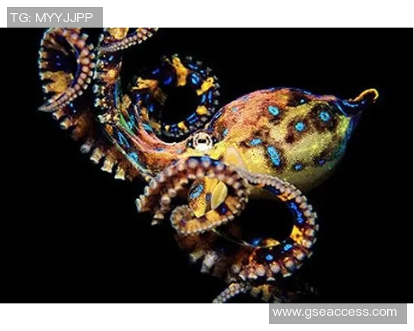 约旦对阵中国精彩赛事直播章鱼直播全程跟踪分析与评论 约旦对阵中国精彩赛事直播章鱼直播全程跟踪分析与评论