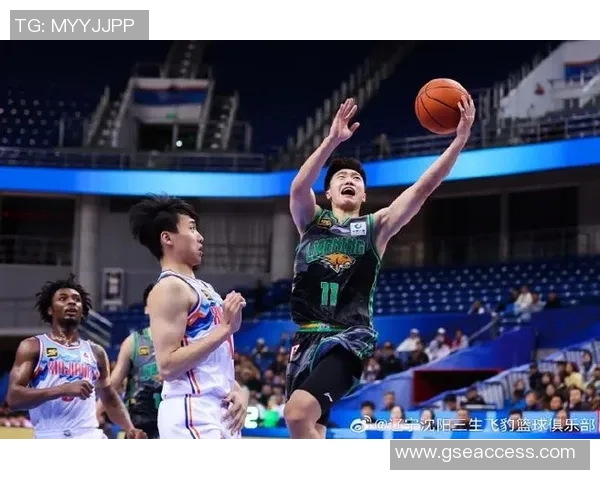 CBA精彩对决辽宁队迎战新疆队4月16日比赛视频回顾与精彩瞬间分析