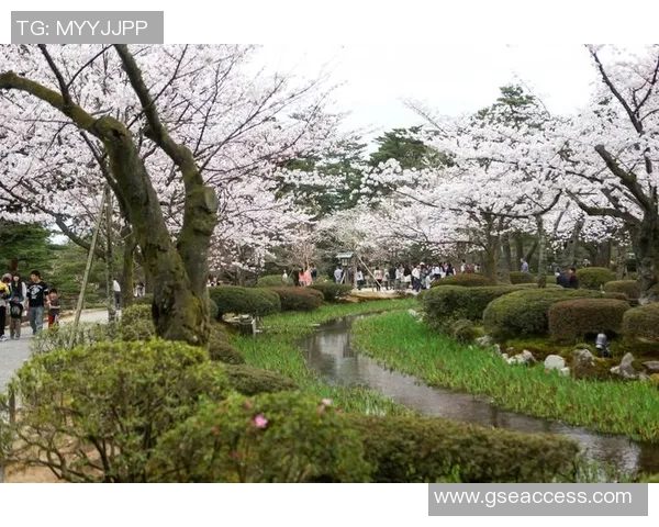 大阪樱花与金泽的精彩对决直播全程回顾与赛后分析