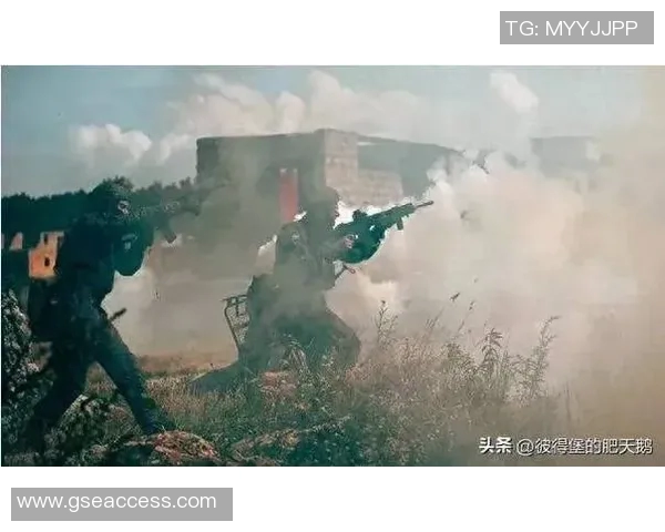 俄罗斯与波兰301战役的历史回顾与战术分析