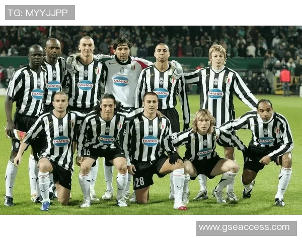 桑德豪森主场迎战汉堡期待精彩对决与激烈竞争