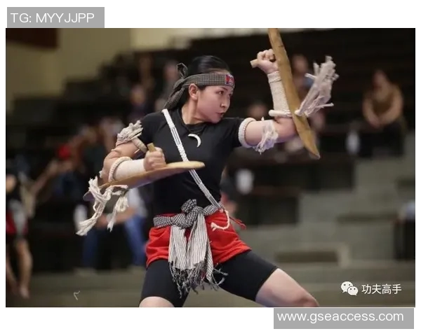 探索越南拳的魅力与技巧：传统武术在现代社会的传承与发展